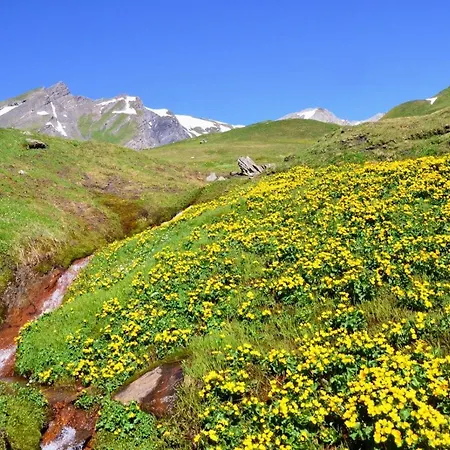 Appartement Lè Lodzé - Pieds Des Pistes La Rosiere (Savoie)