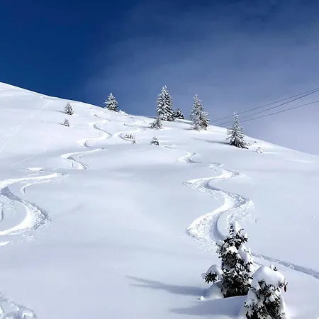 Le Lodze - Pieds Des Pistes